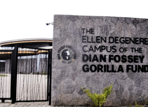 2 Days Gorilla Trek Safari