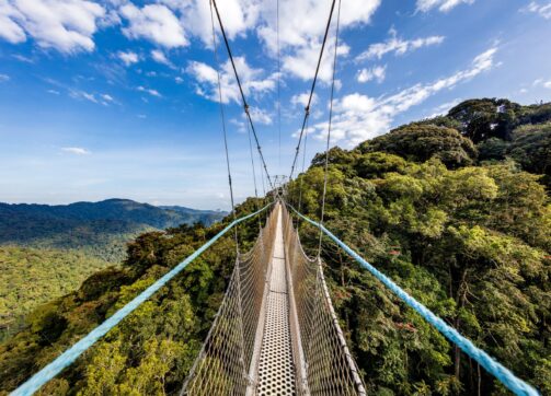 8 Days Rwanda Gorilla, Wildlife & Chimps trek Safari